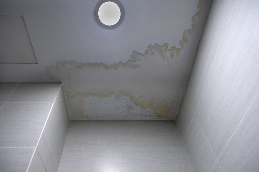 Mildew Growth